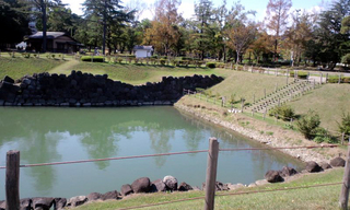 121009_1338~02.jpg