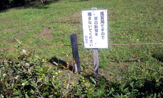 121009_1343~01.jpg